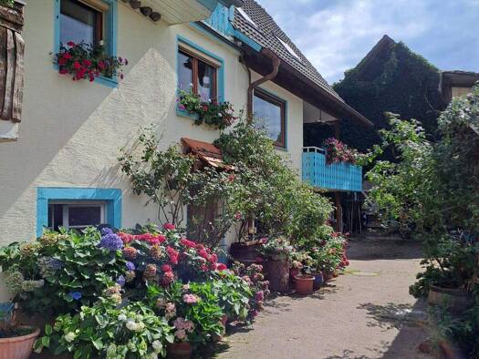 Bauernhaus zum Kauf provisionsfrei 790.000 € 11 Zimmer 220 m² 786 m² Grundstück Broggingen Herbolzheim 79336