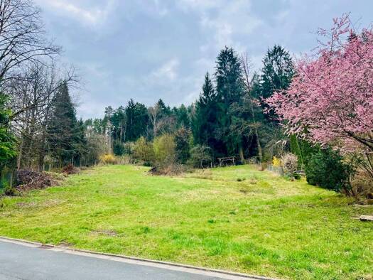 Grundstück zum Kauf provisionsfrei 152.850 € 1.019 m² Grundstück frei ab sofort Altenplos Heinersreuth 95500