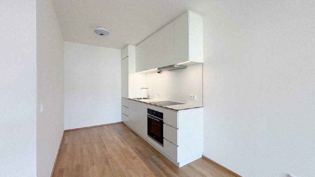 Wohnung zur Miete 685 € 2 Zimmer 42,8 m² Mödling 2340