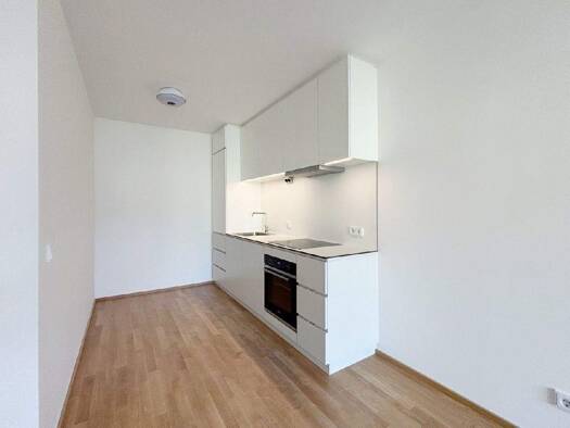 Wohnung zur Miete 732 € 2 Zimmer 42,8 m² Mödling 2340