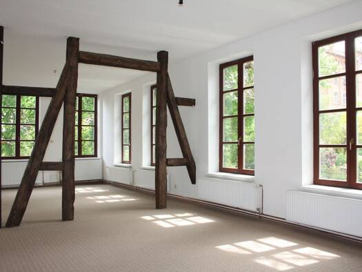 Wohnung zur Miete 550 € 1 Zimmer 56 m² Geschoss 1/3 frei ab sofort Schelfstadt Schwerin 19055