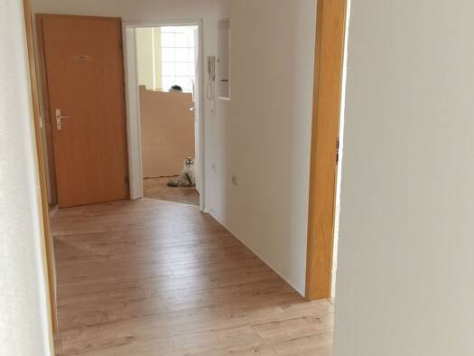 Wohnung zur Miete 750 € 4 Zimmer 80 m² Geschoss 1/2 frei ab sofort Hauptstraße 29 Mühlhausen 96172