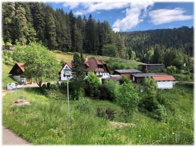 Bauernhaus zum Kauf 1.150.000 € 11 Zimmer 325 m² 28.698 m² Grundstück Schiltach Schiltach-Lehengericht 77761