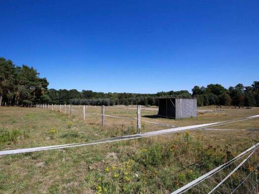 Land-/Forstwirtschaft zum Kauf 195.000 € 26.380 m² Grundstück Thieshope Brackel 21438