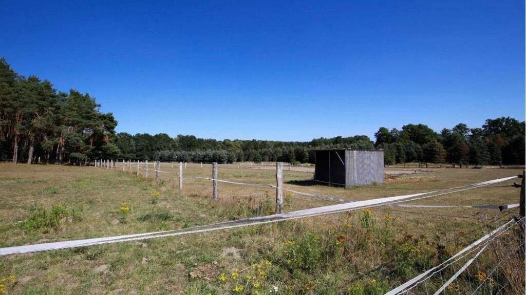 Land-/Forstwirtschaft zum Kauf 195.000 € 26.380 m² Grundstück Thieshope Brackel 21438