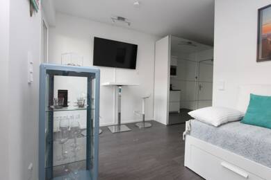 Wohnung zur Miete Wohnen auf Zeit 1.200 € 1 Zimmer 26 m² frei ab 01.12.2025 Neufreimann München 80804