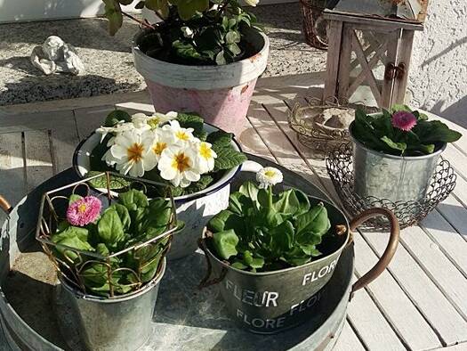 Einfamilienhaus zum Kauf 460.000 € 6 Zimmer 139 m² 734 m² Grundstück frei ab sofort Schwand Schwanstetten 90596