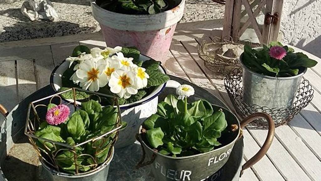 Einfamilienhaus zum Kauf 460.000 € 6 Zimmer 139 m² 734 m² Grundstück frei ab sofort Schwand Schwanstetten 90596