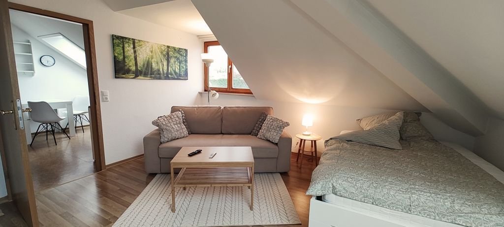 Wohnung zur Miete Wohnen auf Zeit 875 € 1 Zimmer 33 m²<br/>Wohnfläche 01.04.2025<br/>Verfügbarkeit Ludwig-Wucherer-Straße Paulusviertel Halle (Saale) 06108