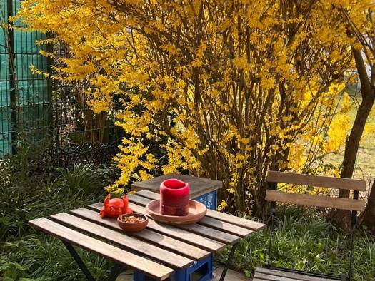 WG-Zimmer zur Miete 1.700 € 3 Zimmer 72 m² frei ab sofort Bogenhausen München 81927