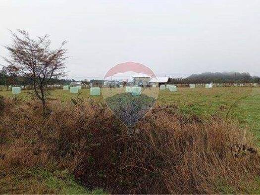 Büro zum Kauf 39.000.000 € Puerto Octay