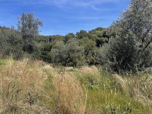 Grundstück zum Kauf 150.000 € 532 m² Grundstück Poros Trizinias 18020