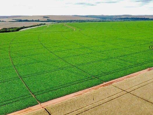 Büro zum Kauf 38.628.750 € Itaberá 18440-000