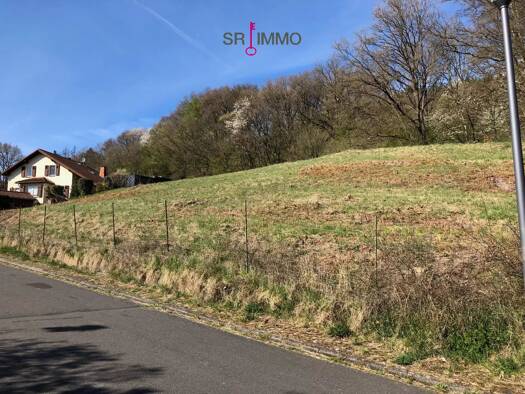 Grundstück zum Kauf 192.500 € 1.035 m² Grundstück Bollendorf 54669