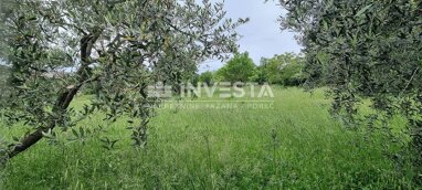 Land-/Forstwirtschaft zum Kauf 145.000 € Porec center