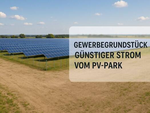 Gewerbegrundstück zum Kauf 257.600 € 9.200 m² Grundstück Triftstr. Winden 56379