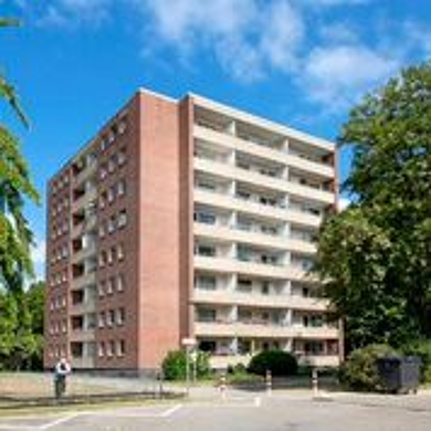 Wohnung zur Miete 320 € 1 Zimmer 33 m² EG frei ab 28.07.2025 Karrenweg 206 Hardt - Mitte Mönchengladbach 41169