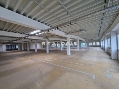 Halle/Industriefläche zur Miete provisionsfrei 18.126 m² Lagerfläche teilbar ab 5.162 m² Atter 192 Osnabrück 49076