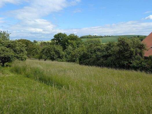 Grundstück zum Kauf 175.000 € 800 m² Grundstück Rippien Bannewitz 01728