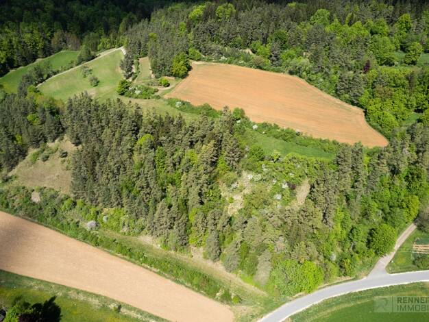 Land-/Forstwirtschaft zum Kauf 129.000 € 22.342 m² Grundstück Frechetsfeld Birgland / Fürnried 92262