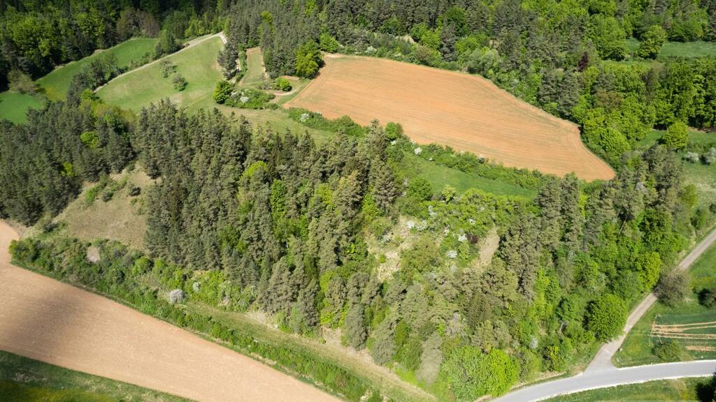 Land-/Forstwirtschaft zum Kauf 129.000 € 22.342 m² Grundstück Frechetsfeld Birgland / Fürnried 92262