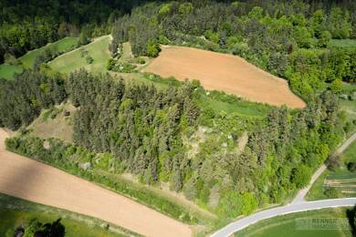 Land-/Forstwirtschaft zum Kauf 129.000 € 22.342 m² Grundstück Frechetsfeld Birgland / Fürnried 92262
