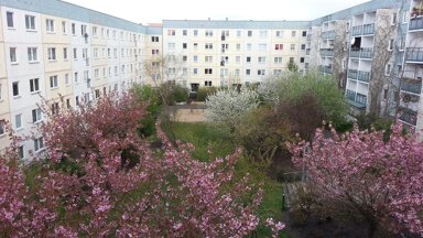 Wohnung zum Kauf provisionsfrei 189.000 € 3 Zimmer 47 m² 3. Geschoss Hellersdorf Berlin 12627