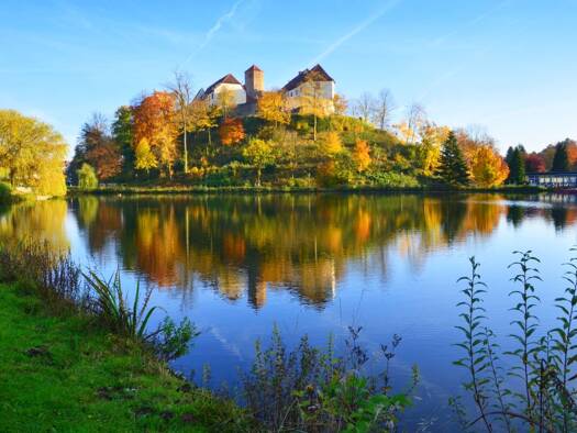 Studio zur Miete 300 € 1 Zimmer frei ab sofort Münsterstraße 61 Bad Iburg 49186