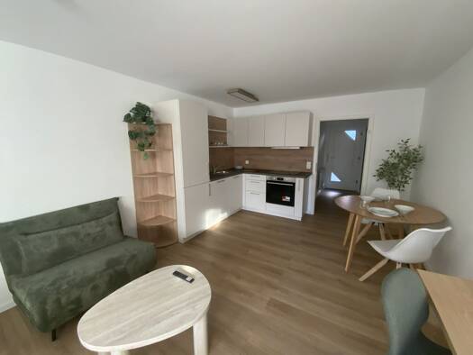 Studio zur Miete 820 € 1 Zimmer 39 m² Fürther Straße 271 Seeleinsbühl Nürnberg 90429