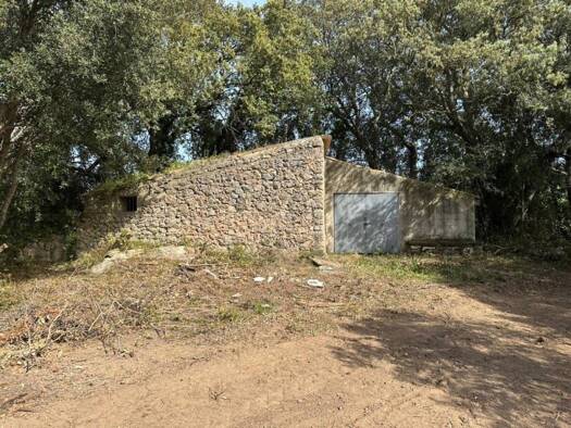 Bauernhaus zum Kauf 245.000 € 1 Zimmer 17.115 m² Grundstück Artà 07570