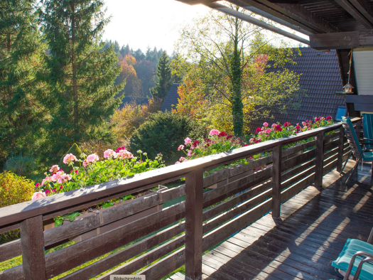 Haus zum Kauf 535.000 € 6 Zimmer 150 m² 647 m² Grundstück Feichten Siegsdorf 83313