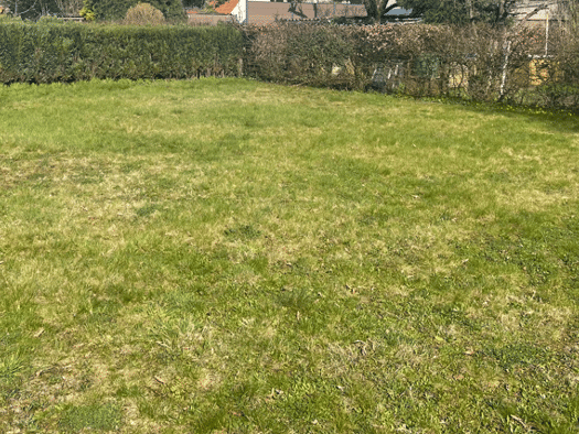 Grundstück zum Kauf 120.000 € 305 m² Grundstück frei ab sofort Emsdetten 48282