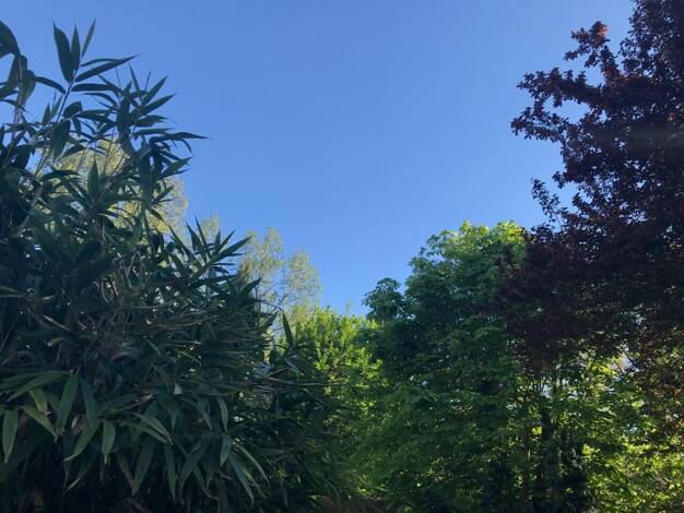 Einfamilienhaus zum Kauf 985.900 € 5 Zimmer 180 m² 981 m² Grundstück Fischeln Krefeld 47807