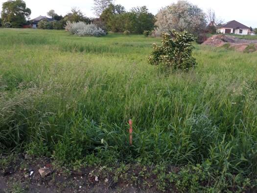 Grundstück zum Kauf 260.000 € 5.987 m² Grundstück frei ab sofort Tata 2890