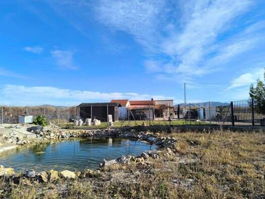 Villa zum Kauf 249.500 € 5 Zimmer 210 m² Villena 03409