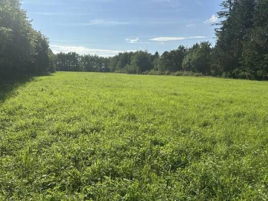 Landwirtschaftliche Fläche zur Versteigerung 121.500 € 6.750 m² Grundstück Höhenkirchen Höhenkirchen-Siegertsbrunn 85635