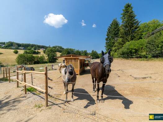 Reiterhof zum Kauf 1.600.000 € 27.114 m² Grundstück Wienerwald 2392