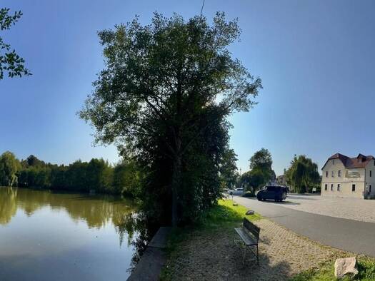 Mehrfamilienhaus zum Kauf 590.000 € 731 m² 1.330 m² Grundstück Friesen Reichenbach 08468