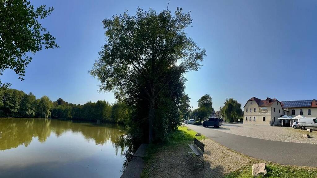 Mehrfamilienhaus zum Kauf 590.000 € 731 m² 1.330 m² Grundstück Friesen Reichenbach 08468