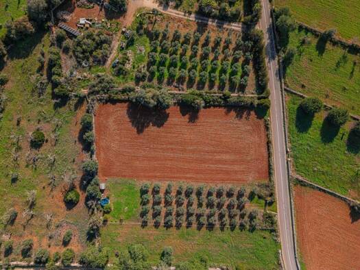 Grundstück zum Kauf 23.000 € 4.349 m² Grundstück LLUBÍ 07430