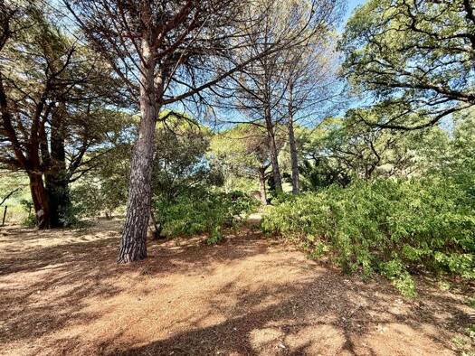 Grundstück zum Kauf 1.050.000 € 2.392 m² Grundstück Basse Suane-Les Virgiles Sainte-Maxime 83120
