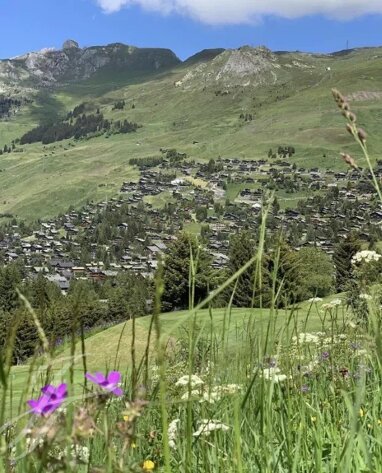 Haus zum Kauf Verbier 1936