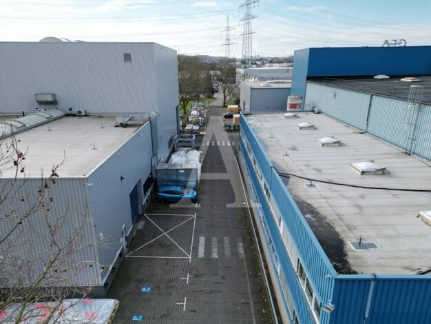 Halle/Industriefläche zur Miete provisionsfrei 1.510 m² Lagerfläche teilbar ab 1.510 m² Efferen Hürth 50354