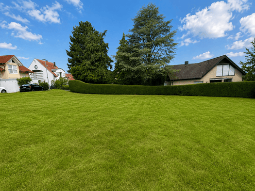 Grundstück zum Kauf 264.500 € 539 m² Grundstück Conweiler Straubenhardt 75334