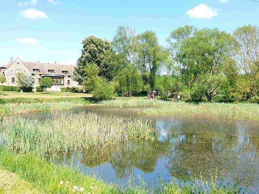 Wohnung zur Miete 528 € 2 Zimmer 66 m² EG Teichstraße 3 Othal Allstedt 06542