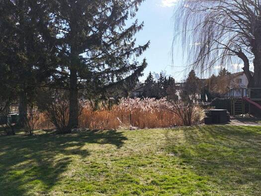 Grundstück zum Kauf 165.000 € 790 m² Grundstück Dreistetten 2753