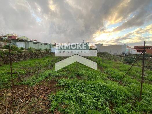 Acker-/Waldstück zum Kauf 65.500 € La Matanza de Acentejo 38370