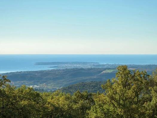 Einfamilienhaus zum Kauf 1.950.000 € 8 Zimmer 196 m² 4.000 m² Grundstück Saint Martin VENCE 06140