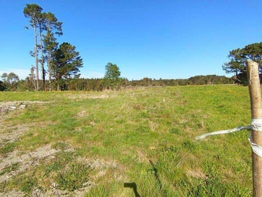 Büro zum Kauf 20.400.000 € Ancud