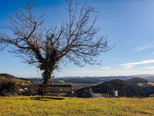 Grundstück zum Kauf 180.000 € 1.867 m² Grundstück Einöd Kitzeck im Sausal 8442